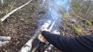 Одиночный поход в лес с ночевкой. Страшно ли ночевать в лесу одному. Чего боится одиночка в походе?