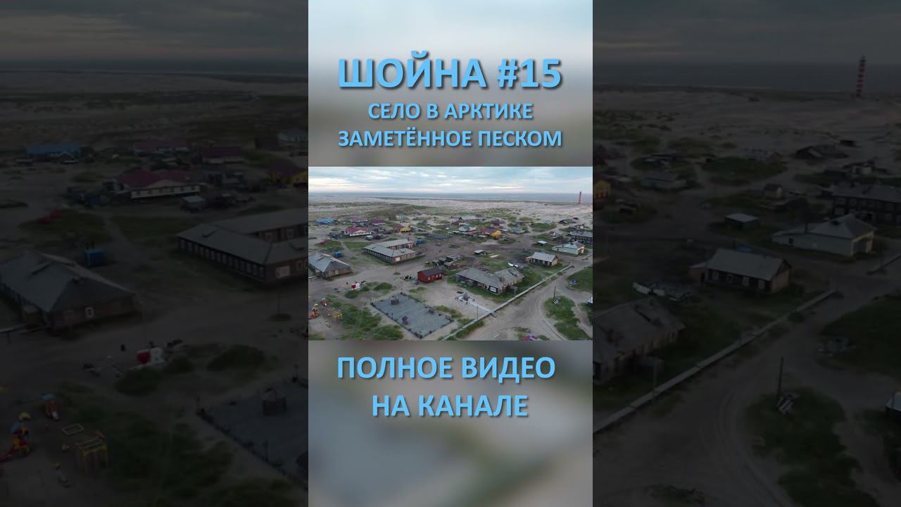 ШОЙНА SHOYNA 15 SHORTS #SHORTS смотреть онлайн