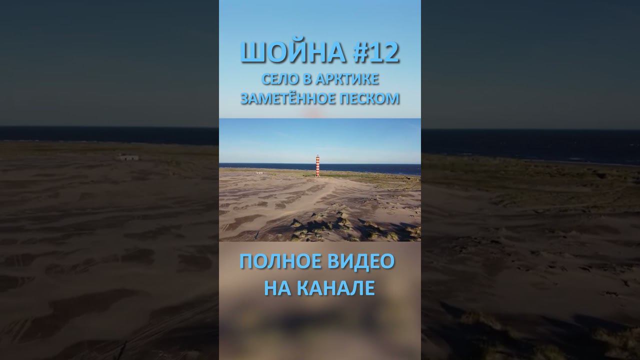 ШОЙНА SHOYNA 12 SHORTS #SHORTS смотреть онлайн