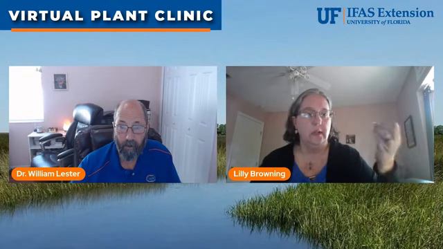 The Virtual Plant Clinic With Dr. Bill March 25, 2021 смотреть онлайн