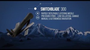 Дрон-камикадзе Switchblade 300 __ Обзор