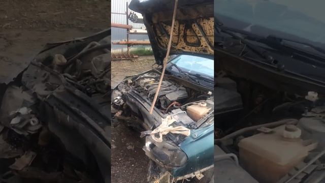 Разбор Renault Laguna 1 1998 г.в. смотреть онлайн