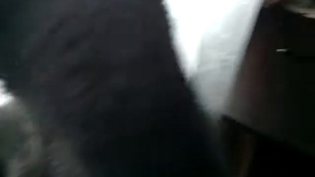 Teg знакомство с:Марго супер собакой. смотреть онлайн