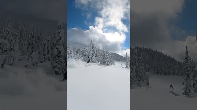 Arctic cat braap смотреть онлайн