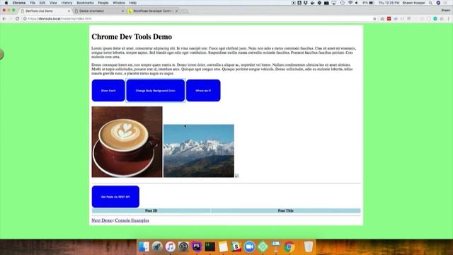 DEVELOPING ON THE FRONT END CHROME DEVELOPER TOOLS Shawn Hooper смотреть онлайн