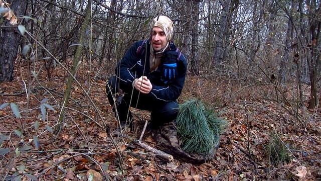 Пошел в лес за елкой 31 декабря | Самый необычный дизайн сосны 2021 | Немного про искусство смотреть онлайн
