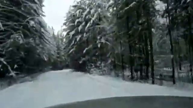 Зимний лес под классную музыку смотреть онлайн