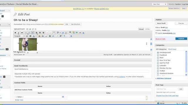 How To Insert Images Into Your Wordpress Blog смотреть онлайн
