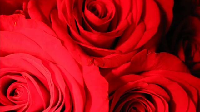 One Million Roses (Soviet Songs in English) - Миллион алых роз (на англ. языке) смотреть онлайн