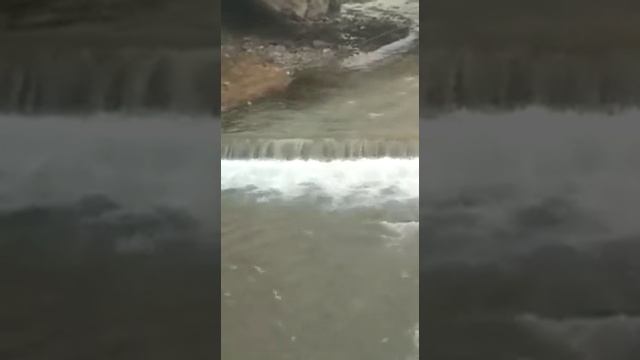 Араван Киргизия смотреть онлайн