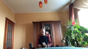 Паренхима почек - возможные проблемы и их устранение.