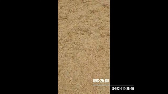 Выделение зерна из зерноотходов с помощью передвижного ОВС-25 с улучшенной аспирацией. смотреть онлайн