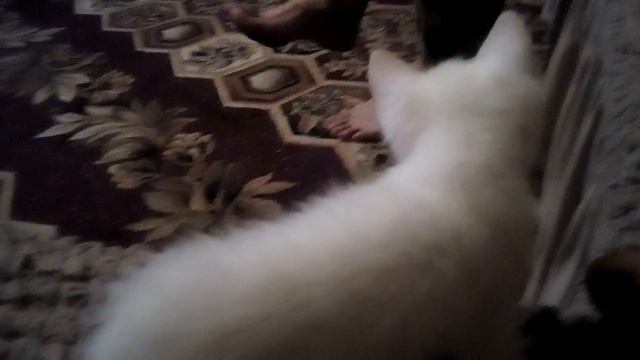 Ну я же кушать хочу смотреть онлайн