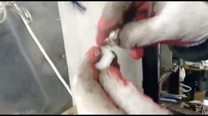 Ремонт ограничителя дверей Hyundai/Kia.