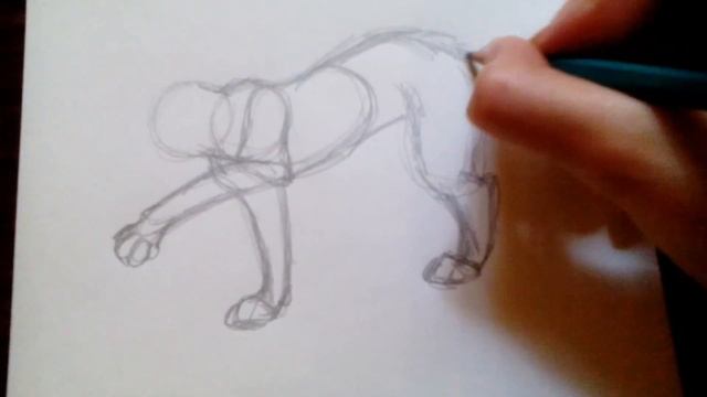 Уроки рисования №8 | Как нарисовать рысь | Рисуем легко | Рисование для начинающих | Рысь | #18 смотреть онлайн