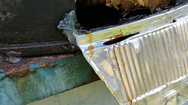 Живой БИО-ГУМАТ своими руками. смотреть онлайн