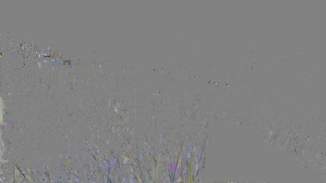 Specnaz Project Wolf Спецназ Проект Волк 01 смотреть онлайн