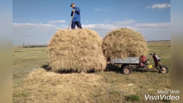 сенокос мотороллер муравей с 4т двигателем и с прицепом смотреть онлайн