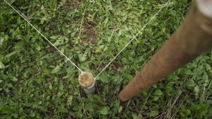 Купили участок, что дальше? Как вынести границы земельного участка: 3 простых шага