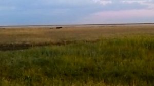 Сарыколь Казахстан