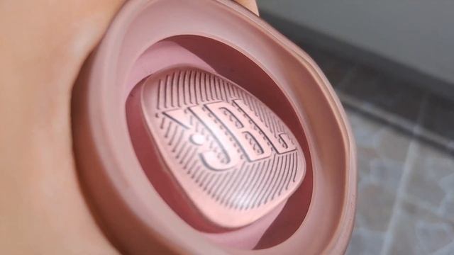 JBL FLIP 5 TT PINK EXTREME WARPING IN LFM + EQ 100%vol смотреть онлайн