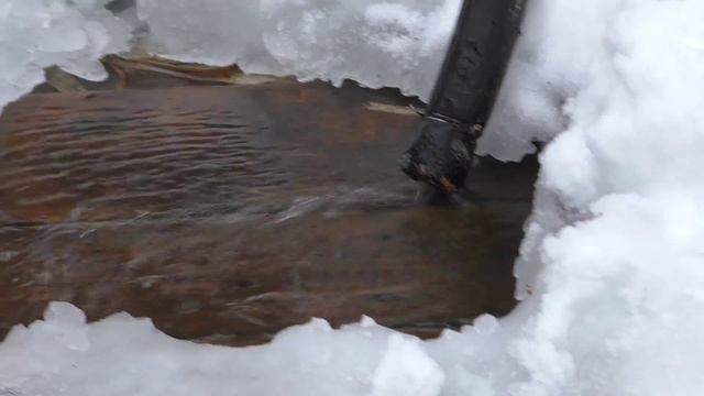 В поисках Гатчинских гейзеров смотреть онлайн