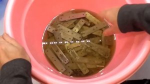 ЗАБРАЛ ЗОЛОТО с помощью китайского реагента «Золотая Цикада».