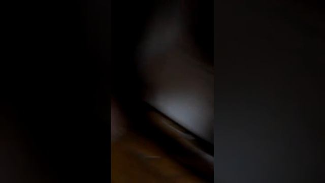 Некогда не злите мопса. смотреть онлайн