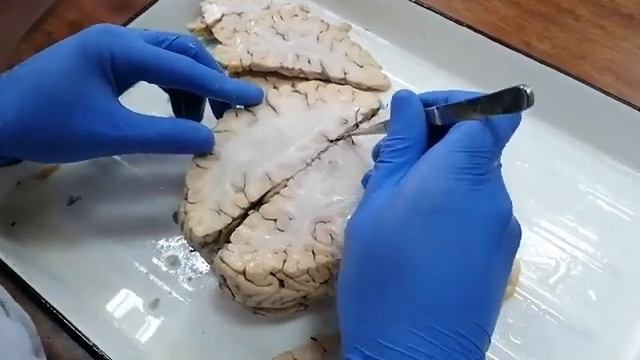 …! смотреть онлайн