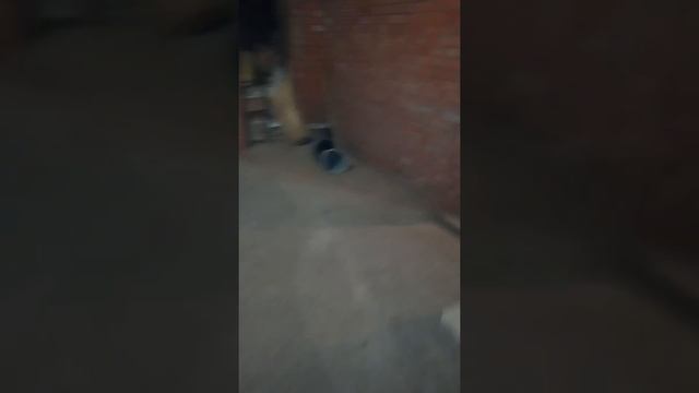 запуск новой дизельной пушки баллу 30 кв смотреть онлайн