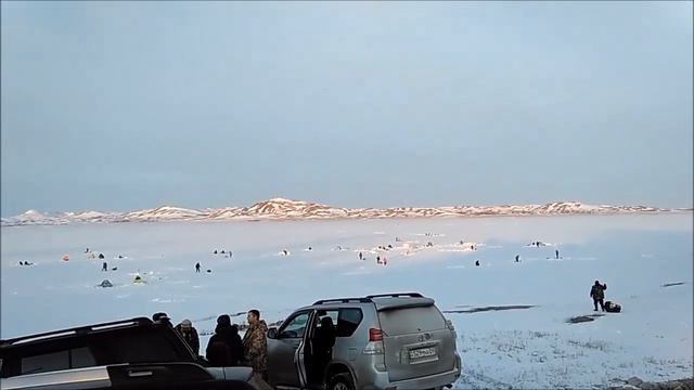 Караганда Тельманская рыбалка смотреть онлайн