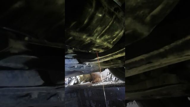 Димексид и 2zr-4 смотреть онлайн