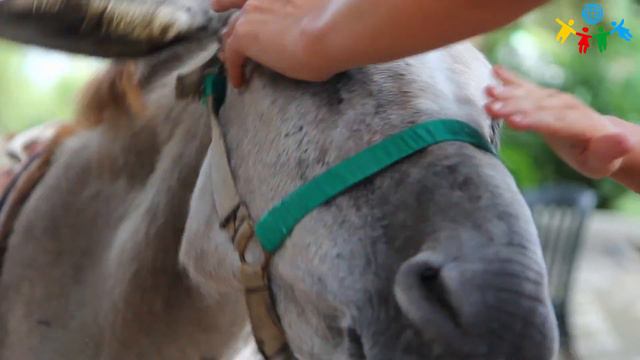 Абхазия без границ смотреть онлайн
