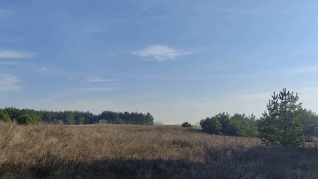 10 декабря праздник Знамение Пресвятой Богородицы. Запреты дня. Народные приметы и традиции. смотреть онлайн