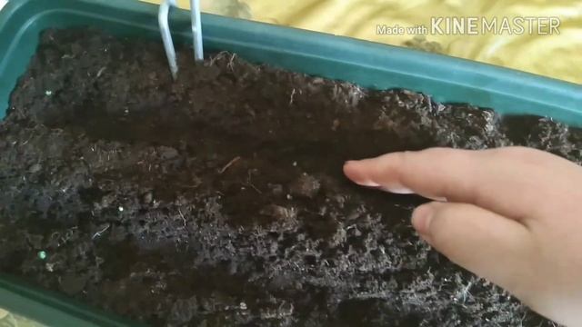 Ремонт на Дому