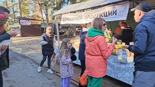 Плато ЛАГО-НАКИ. Первый СНЕГ В ГОРАХ Адыгеи. ИНВЕСТИЦИИ в недвижимость. ЦЕНЫ на земельные участки. смотреть онлайн