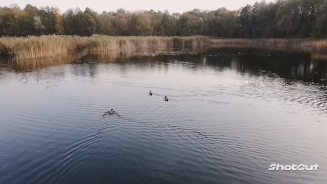 ПРОСТО ТАК. БЕЗ СЛОВ. БЕЗ МУЗЫКИ. С ЛЮБОВЬЮ. смотреть онлайн