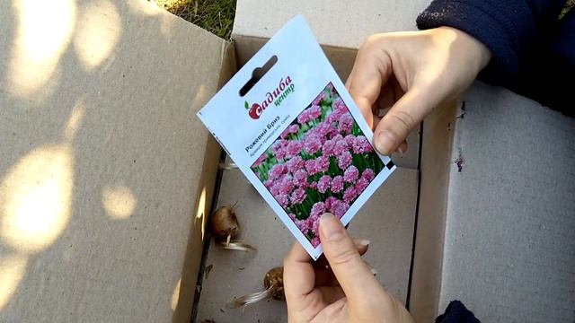 Посылка с луковичными от Флориум. Невероятные сорта махровых тюльпанов и посадка крокусов смотреть онлайн