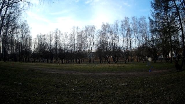 Орлова Олеся Норби Кубок DogSa смотреть онлайн