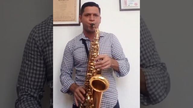 Partita en La menor BWV 1013 de Johann Sebastian Bach. by Félix Mendoza. смотреть онлайн