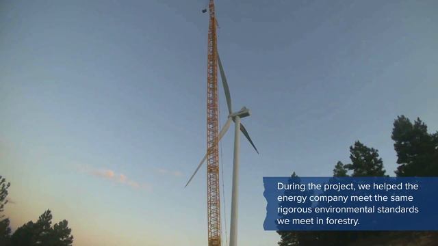 Wind Farm Provides Clean Power to 1000s While Tree Farm Grows Around It смотреть онлайн