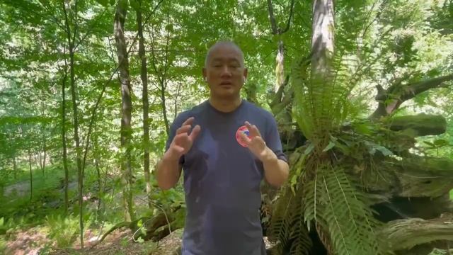 Мудра Вуцзи. | Академия Киайдо | Гранд Мастер Сонг Парк