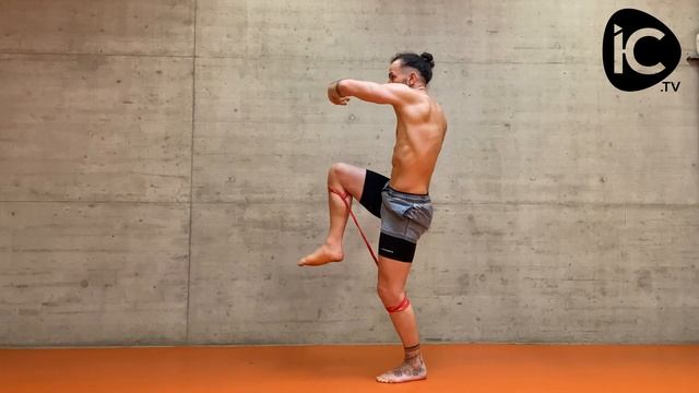 Capoeira Sports - Basic Position and Stabilization for Ginga and Cadeira смотреть онлайн