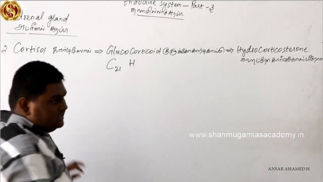 நாளமில்லாச் சுரப்பிகள் - Tnpsc Endocrine System Thyroid Gland - Endocrine System #tnpsc