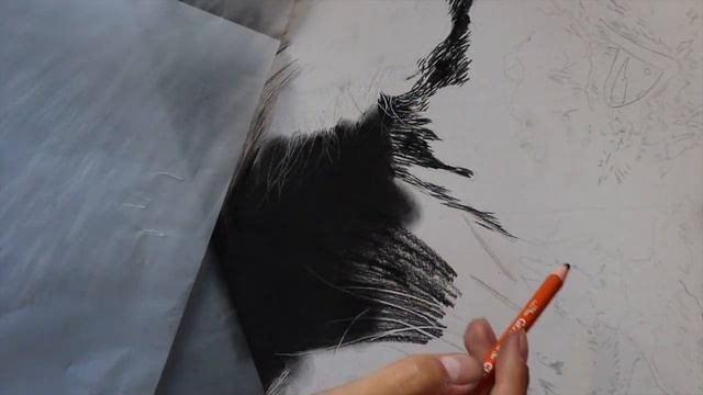 Hyperrealistic Pencil Drawing Time Lapse | How to Draw a Lion смотреть онлайн