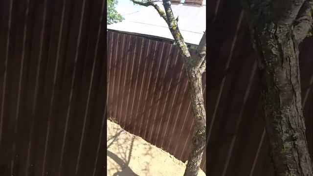 монтаж заборов из евроштакетника, профлиста, сетки 3д смотреть онлайн
