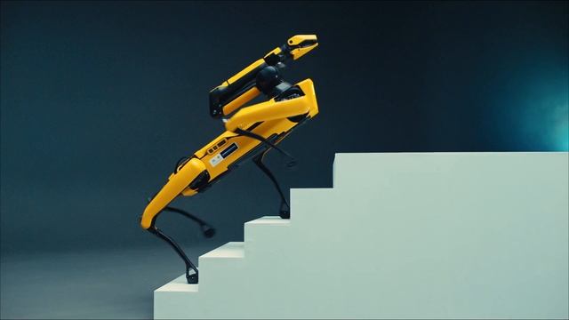 Hyundai | Beyond Mobility | Spot®