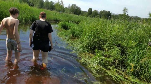 Vlog/Дача/Орудьево/Открыли купальный сезон/Купались в бассейне/река Кухолка/Посёлок Орудьево/Дмитро смотреть онлайн