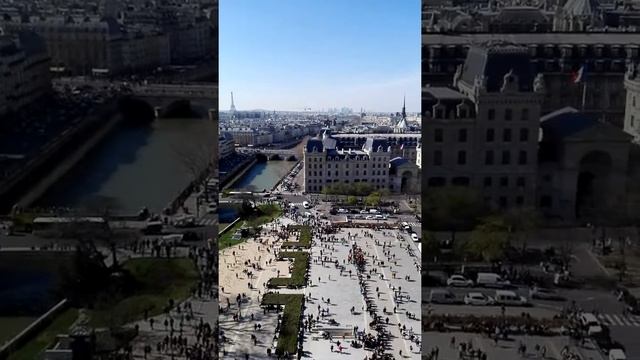 Paris views - Notre Dam смотреть онлайн