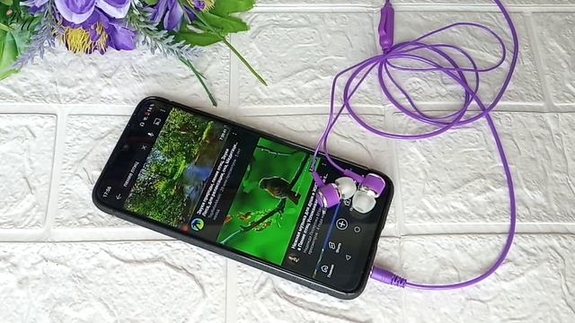 Earphones with microphone, bass (Проводные наушники с микрофоном и заявленными басами). AliExpress смотреть онлайн